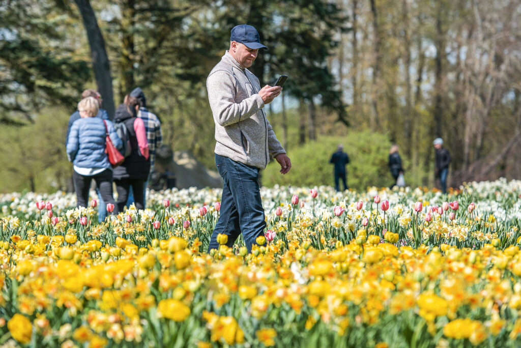 Autors: Publicitātes foto