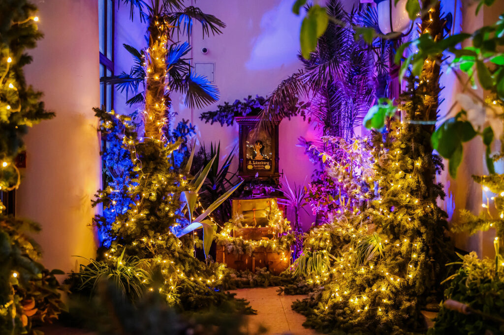 Autors: Publicitātes foto.