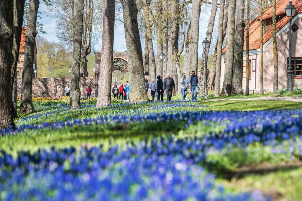 Autors: Publicitātes foto