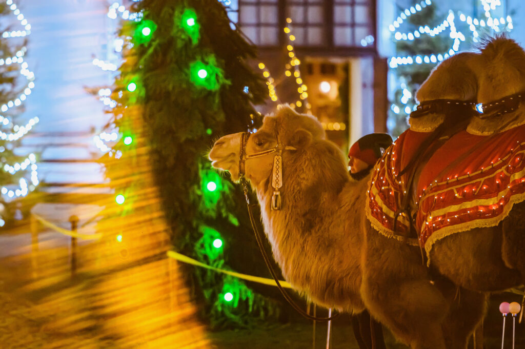 Autors: Publicitātes foto.