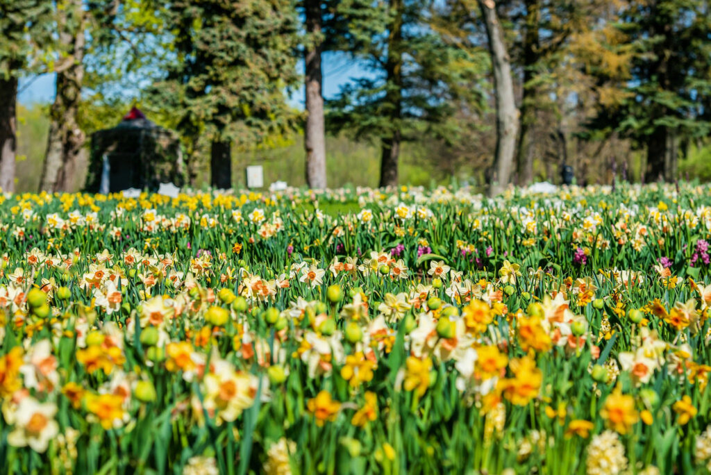 Autors: Publicitātes foto