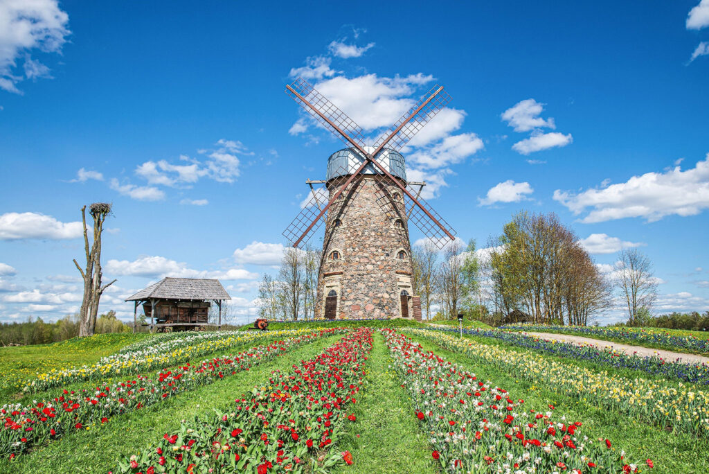 Autors: Publicitātes foto