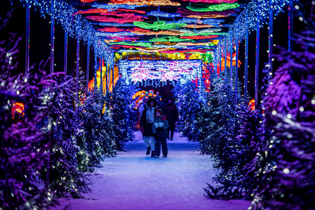 Autors: Pakrojas muižas publicitātes foto.