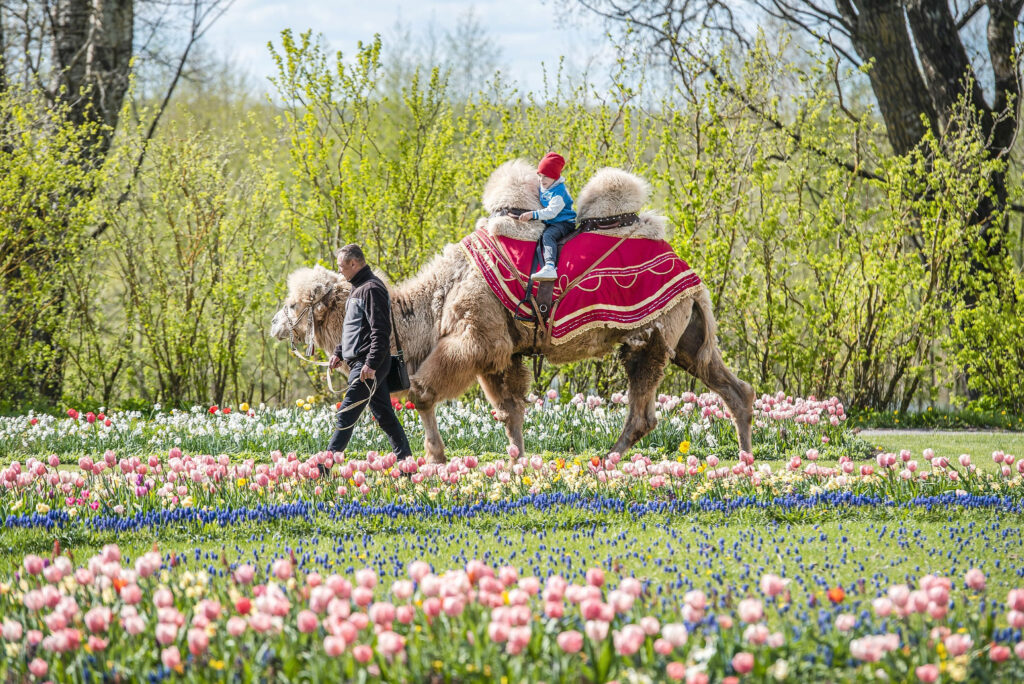 Autors: Publicitātes foto