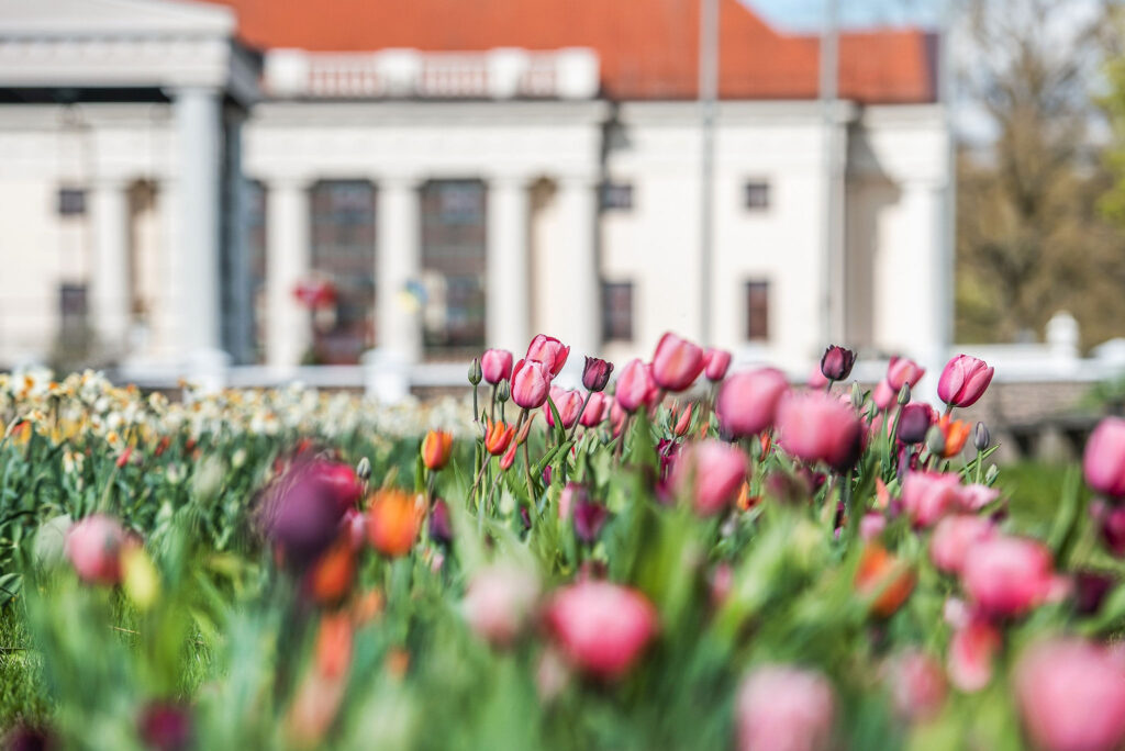 Autors: Publicitātes foto