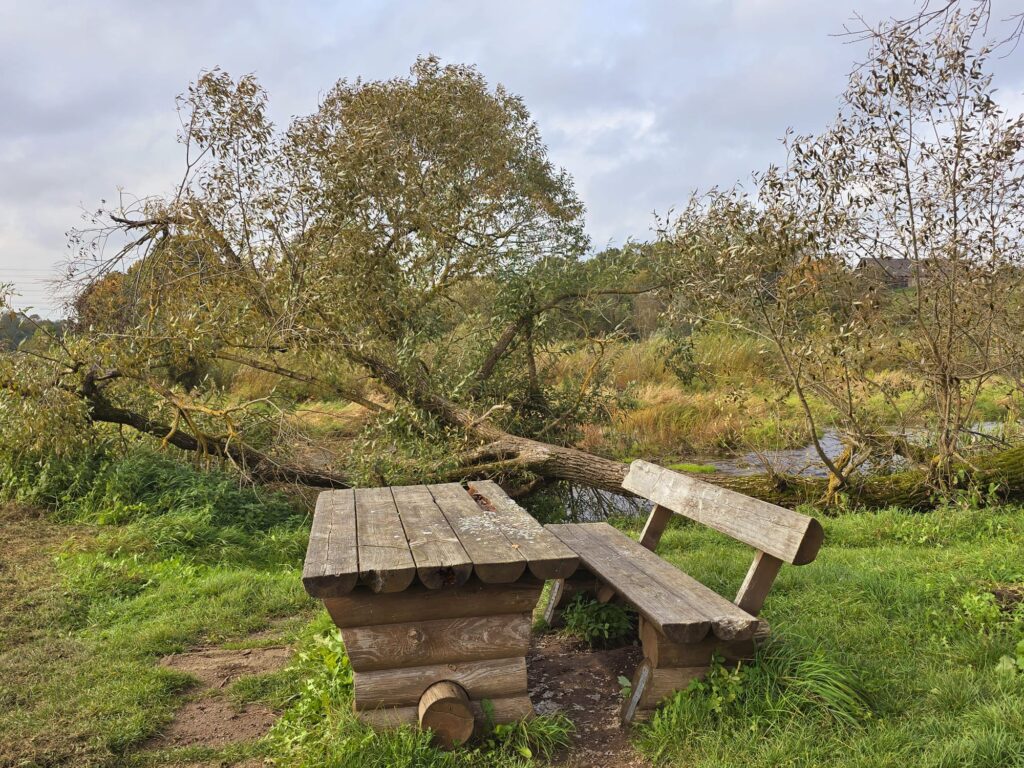 Autors: www.bauskasdzive.lv