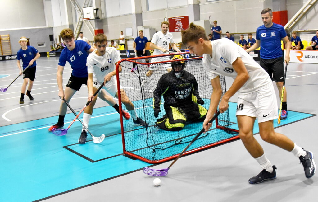 Autors: Uldis Varnevičs