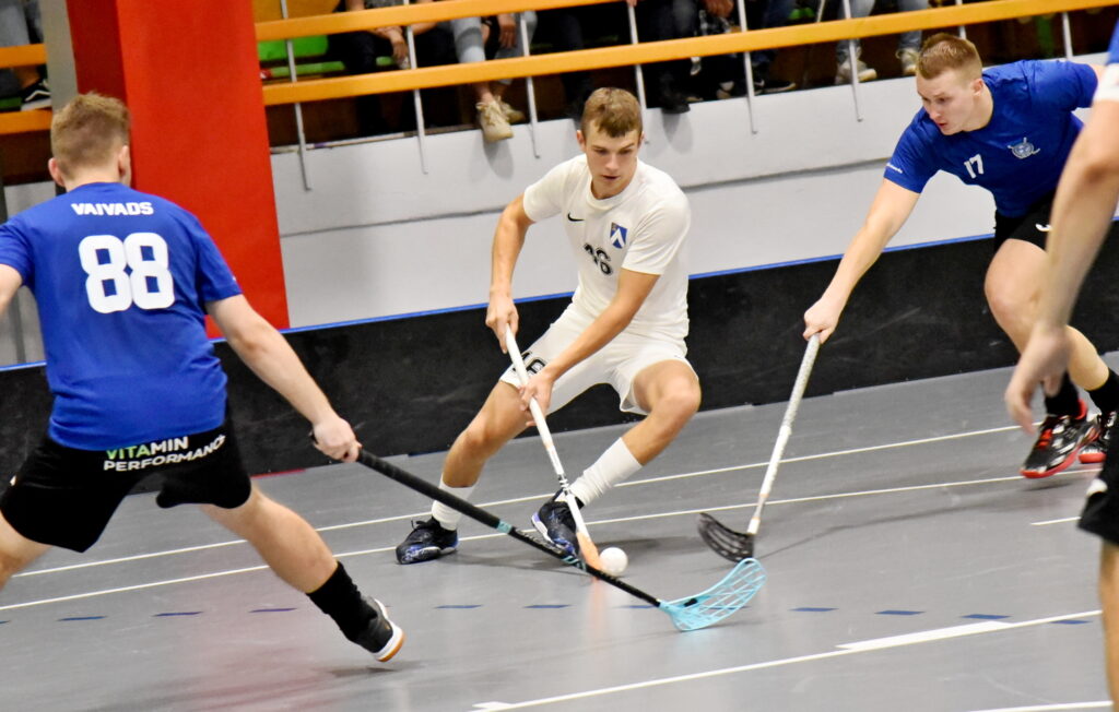 Autors: Uldis Varnevičs