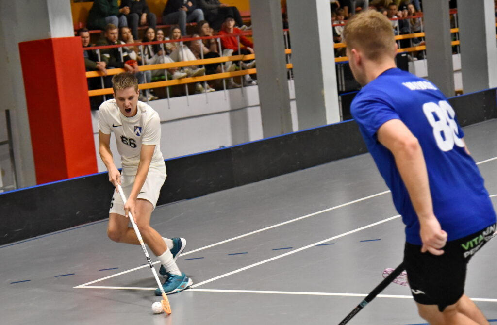 Autors: Uldis Varnevičs