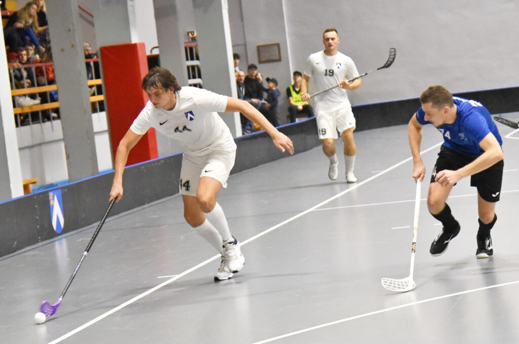 Autors: Uldis Varnevičs