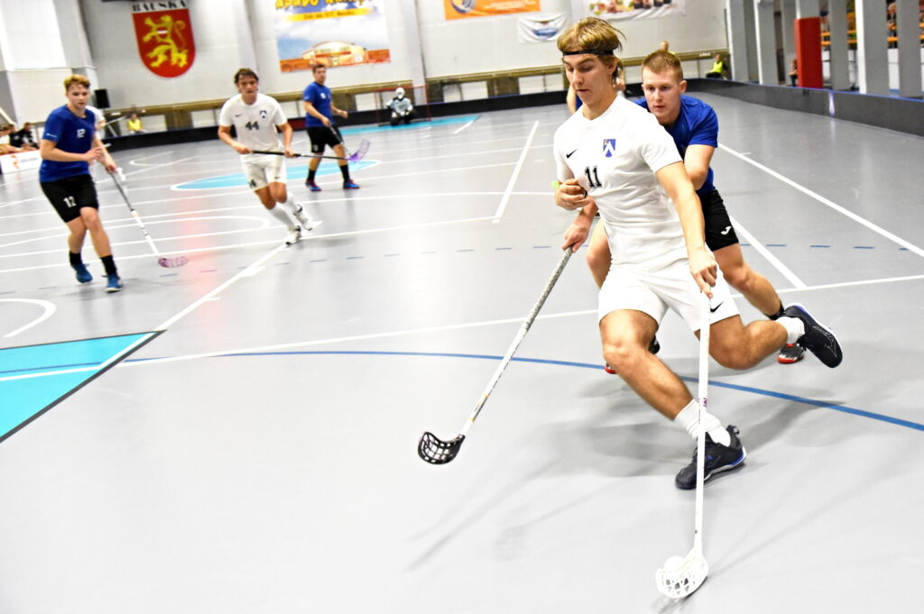 Autors: Uldis Varnevičs