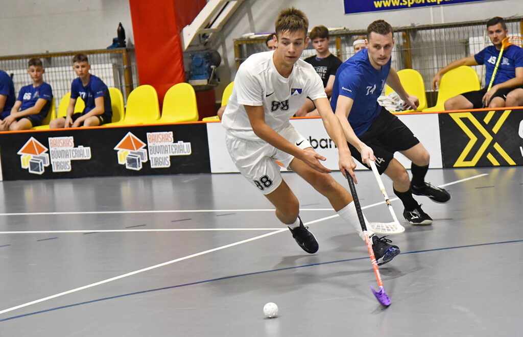 Autors: Uldis Varnevičs