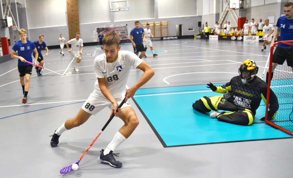 Autors: Uldis Varnevičs