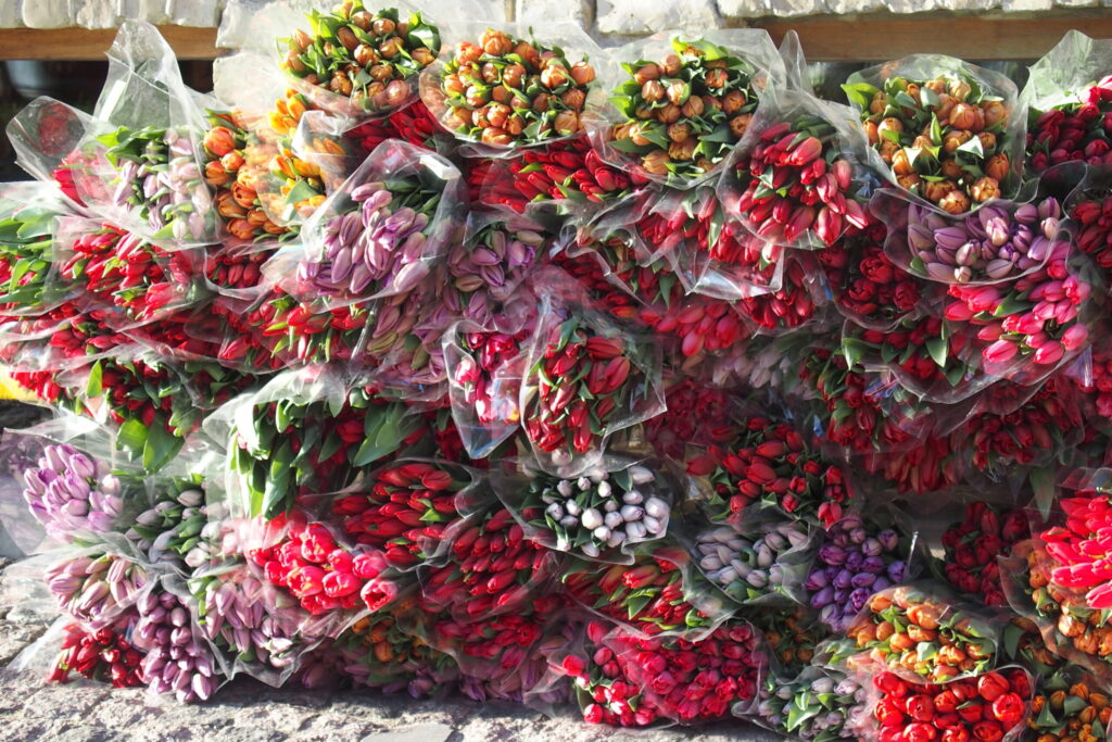 Autors: Ingrīda Punka