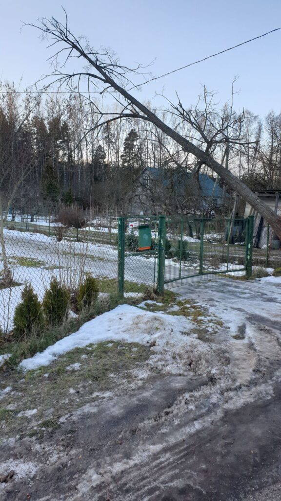 Autors: Publicitātes foto.