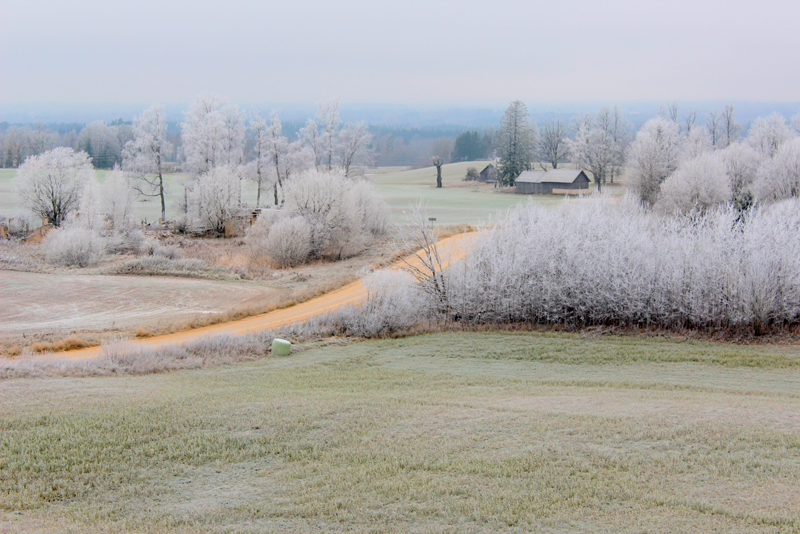 Fotogrāfijas tautas fotostudijas «Bauska» dalībnieku ikgadējā izstādē «Latvijai».