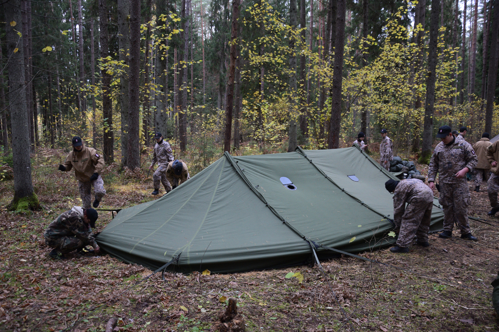 Autors: Māris Krūmiņš