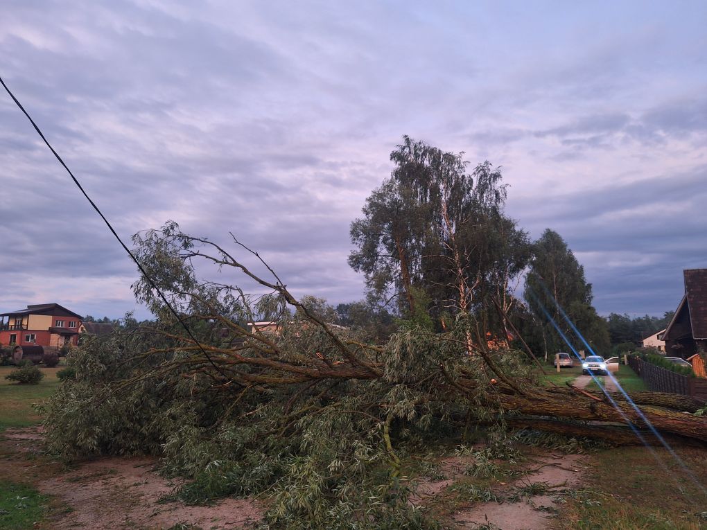 Autors: Publicitātes foto