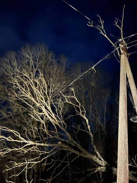 Autors: Publicitātes foto.