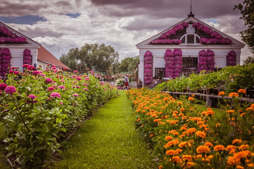 Autors: Publicitātes foto