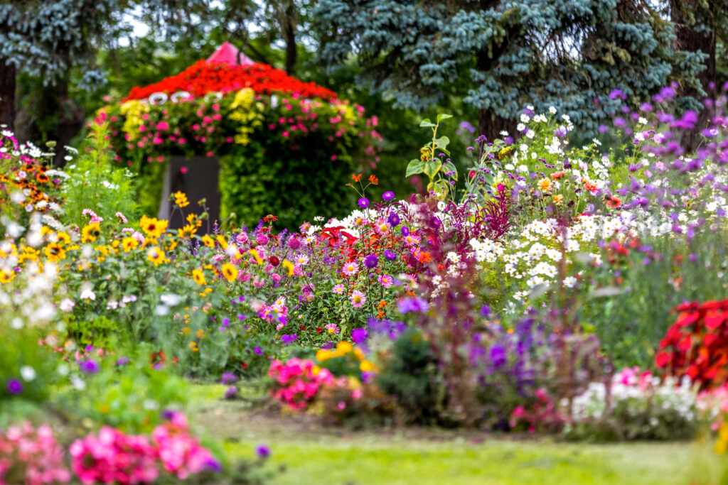 Autors: Publicitātes foto