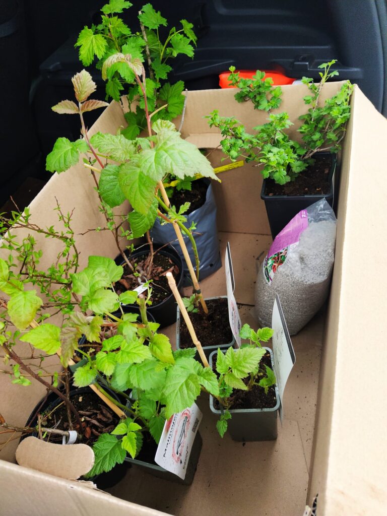 Autors: Foto no Borisa un Ināras Teterevu fonda arhīva.