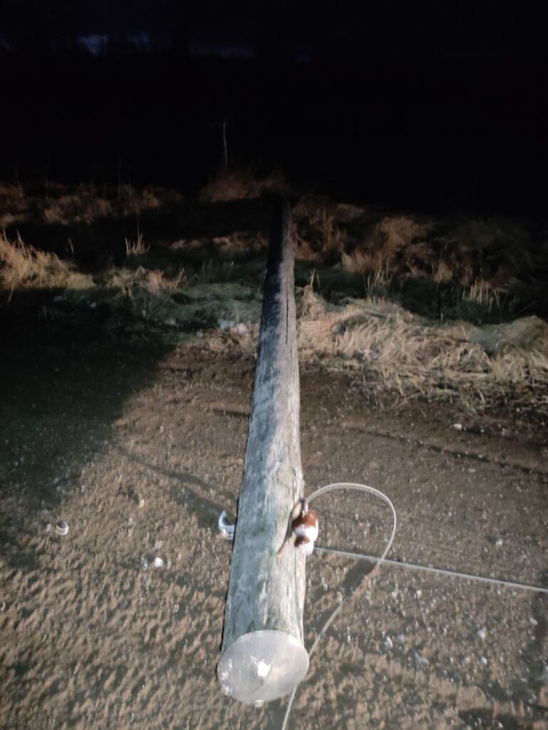 Autors: Publicitātes foto.