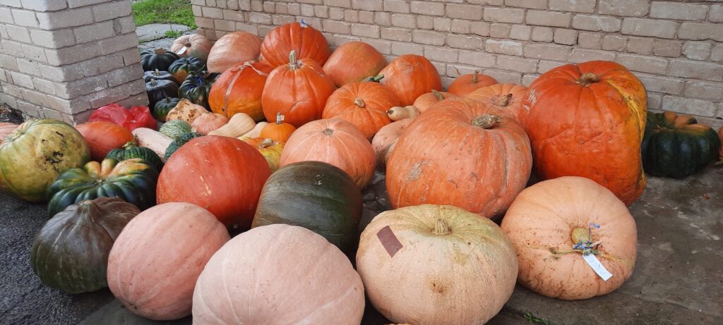 Autors: No skolas albuma.