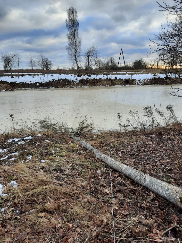 Autors: Publicitātes foto.