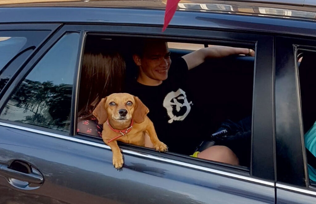 Autors: Uldis Varnevičs