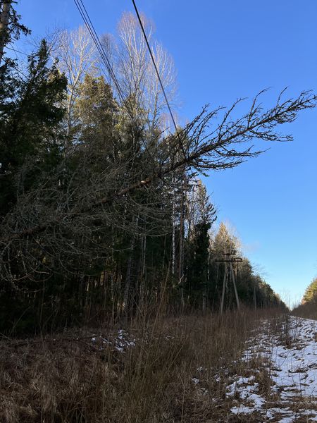 Autors: Publicitātes foto.