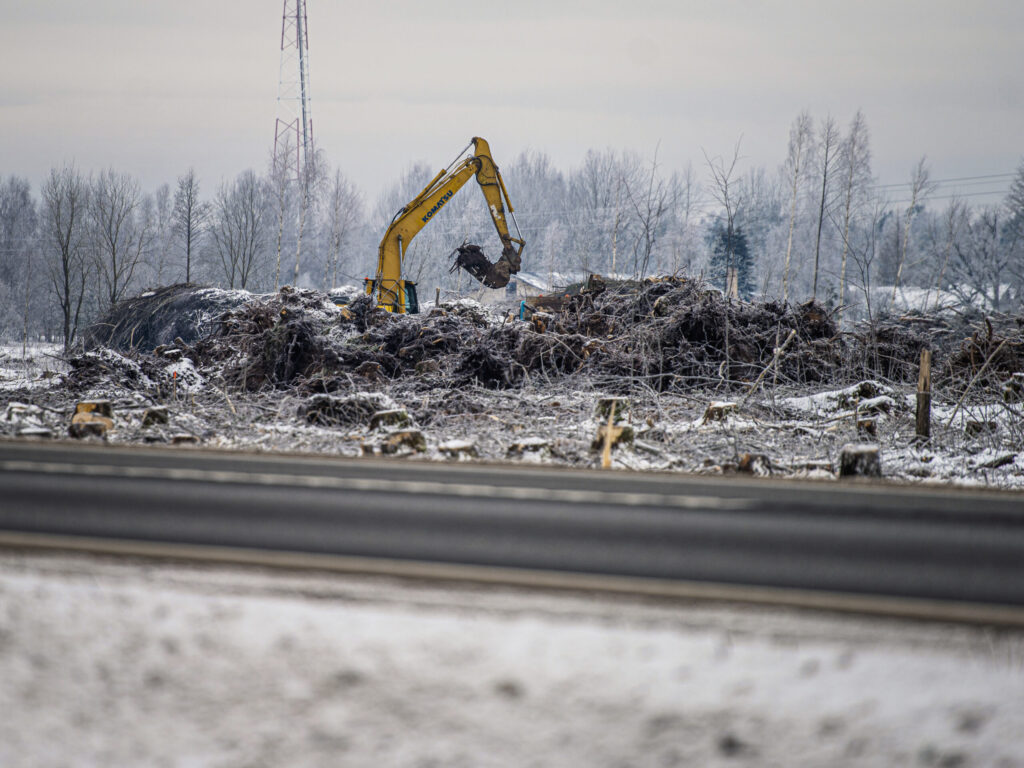 Autors: Renārs Koris