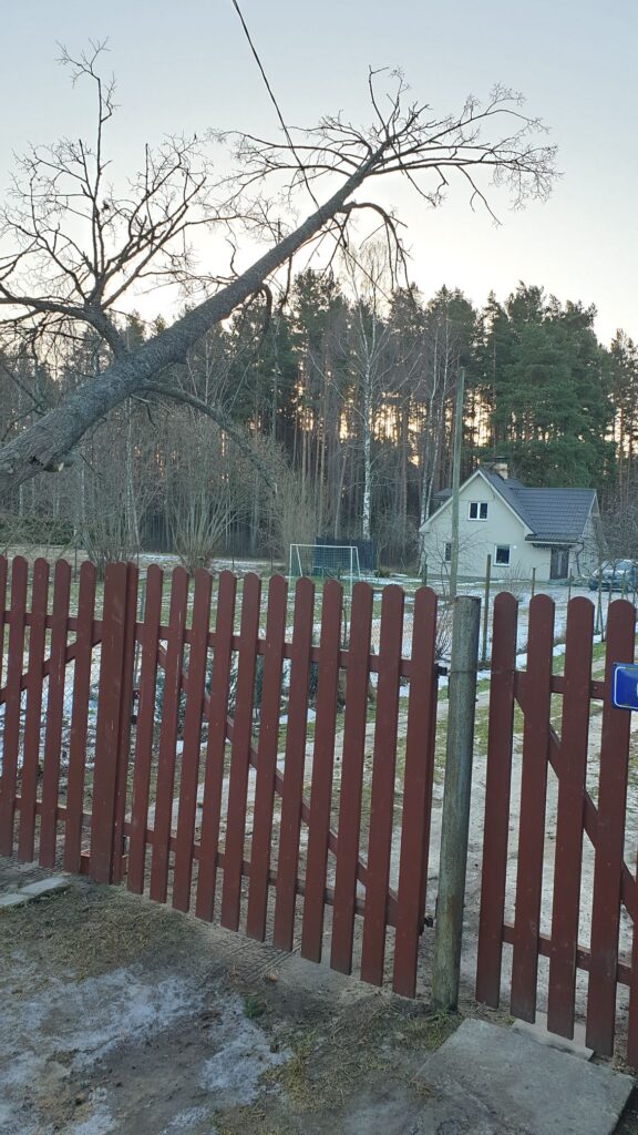 Autors: Publicitātes foto.