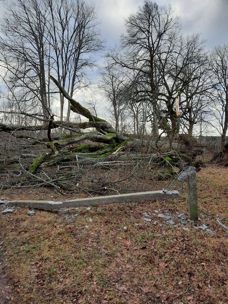 Autors: Publicitātes foto.