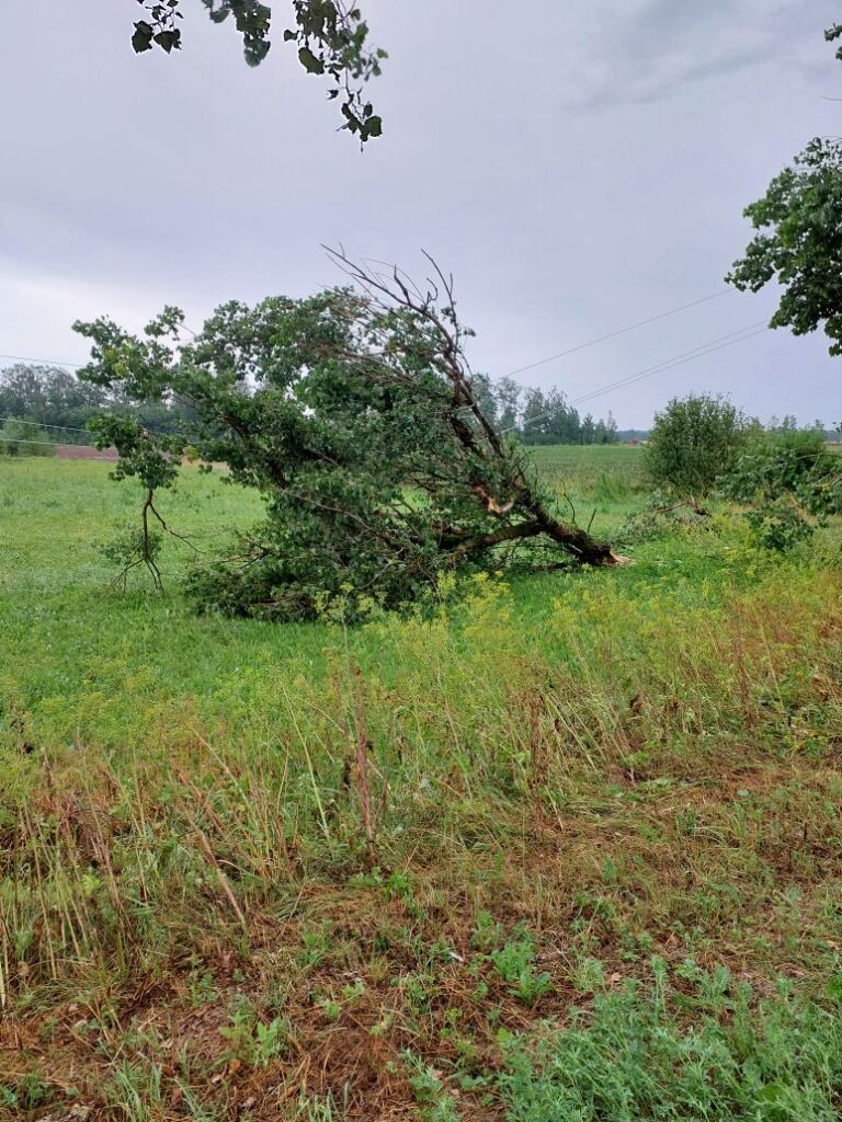 Autors: Publicitātes foto