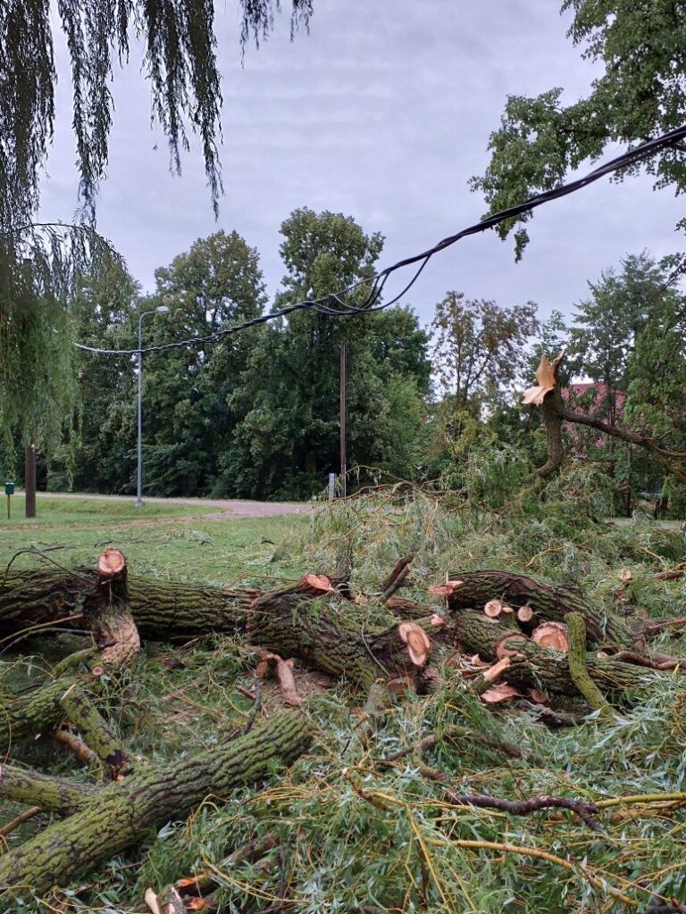 Autors: Publicitātes foto