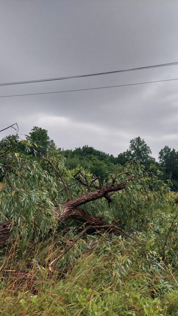 Autors: Publicitātes foto