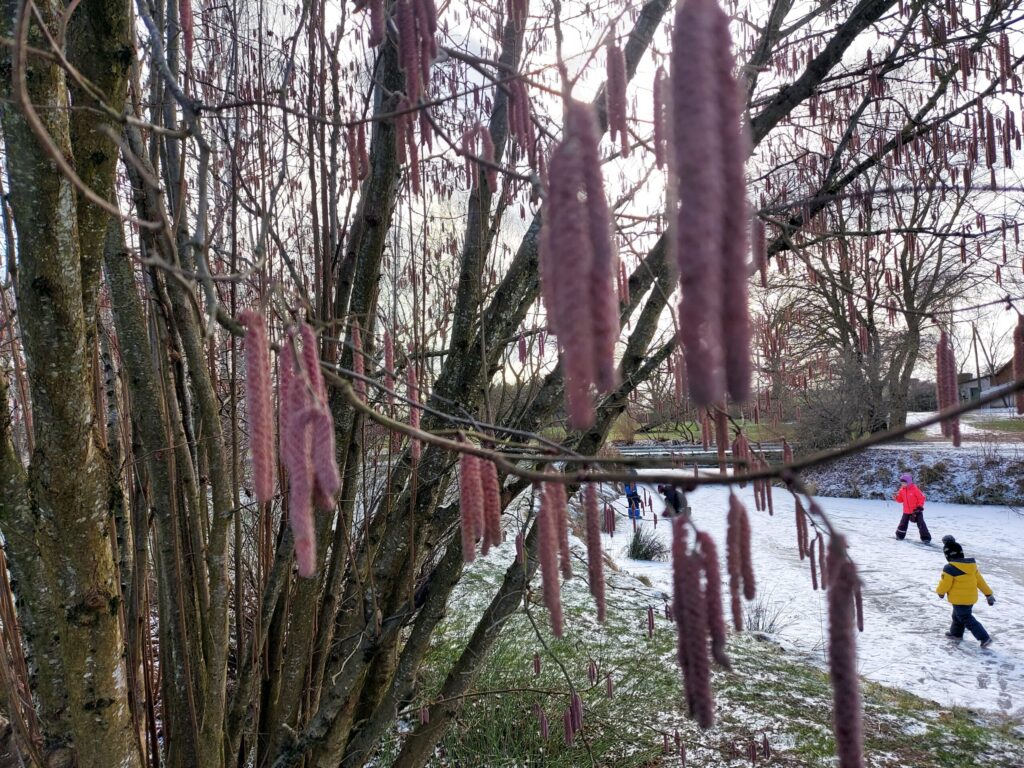 Autors: Antra Ērgle