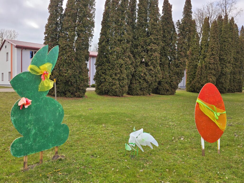 Autors: www.bauskasdzive.lv