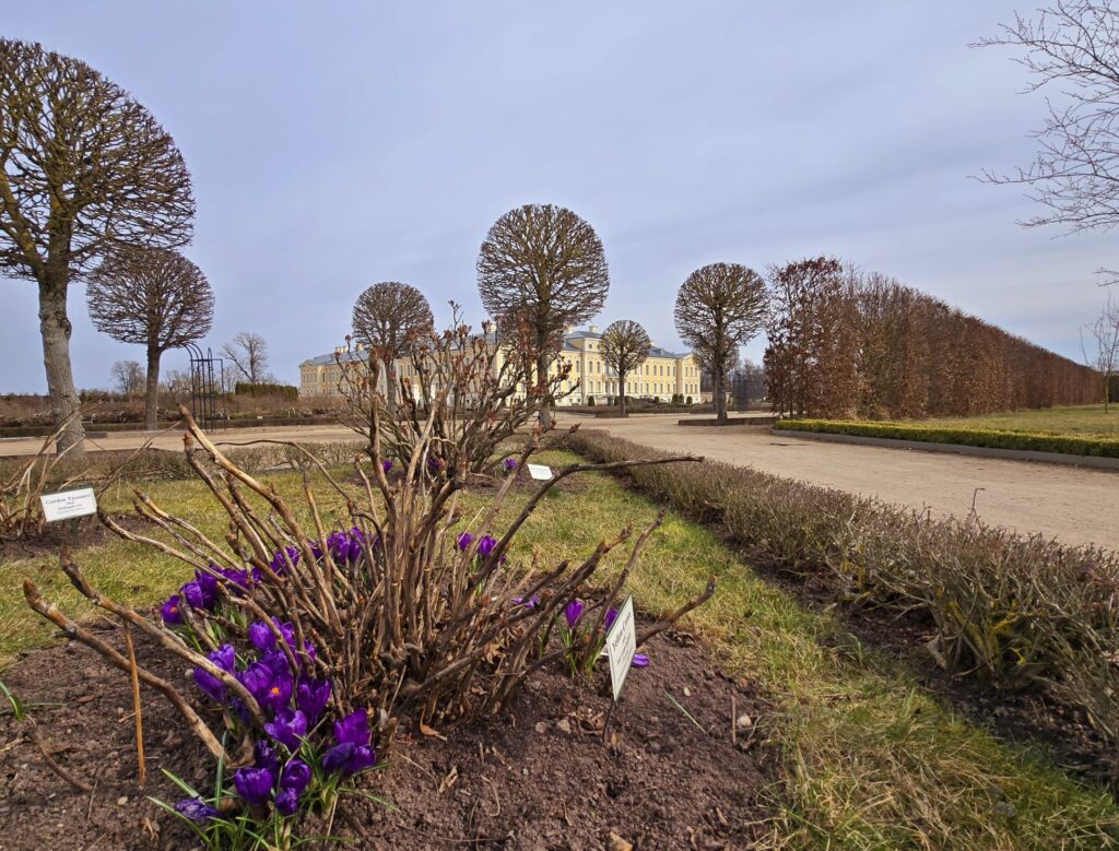 Autors: www.bauskasdzive.lv