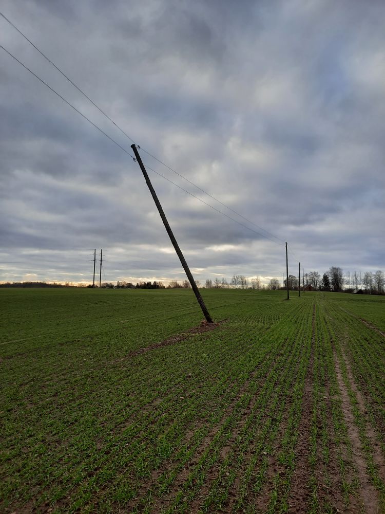 Autors: Publicitātes foto.