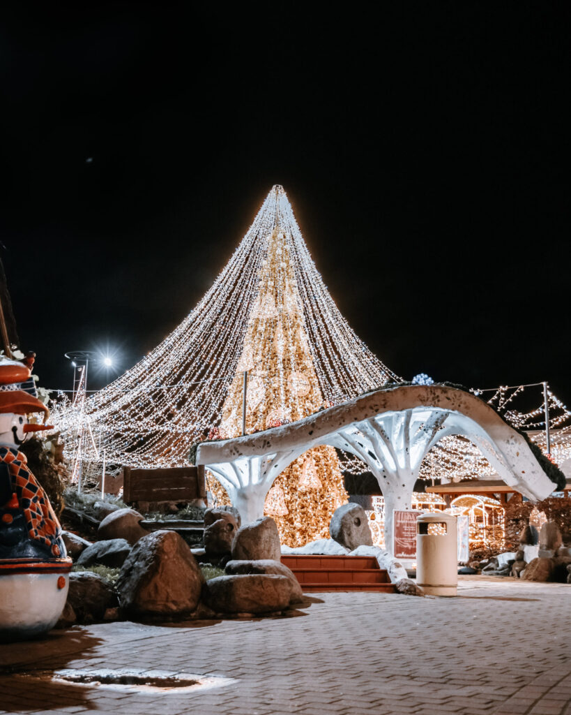 Autors: Publicitātes foto