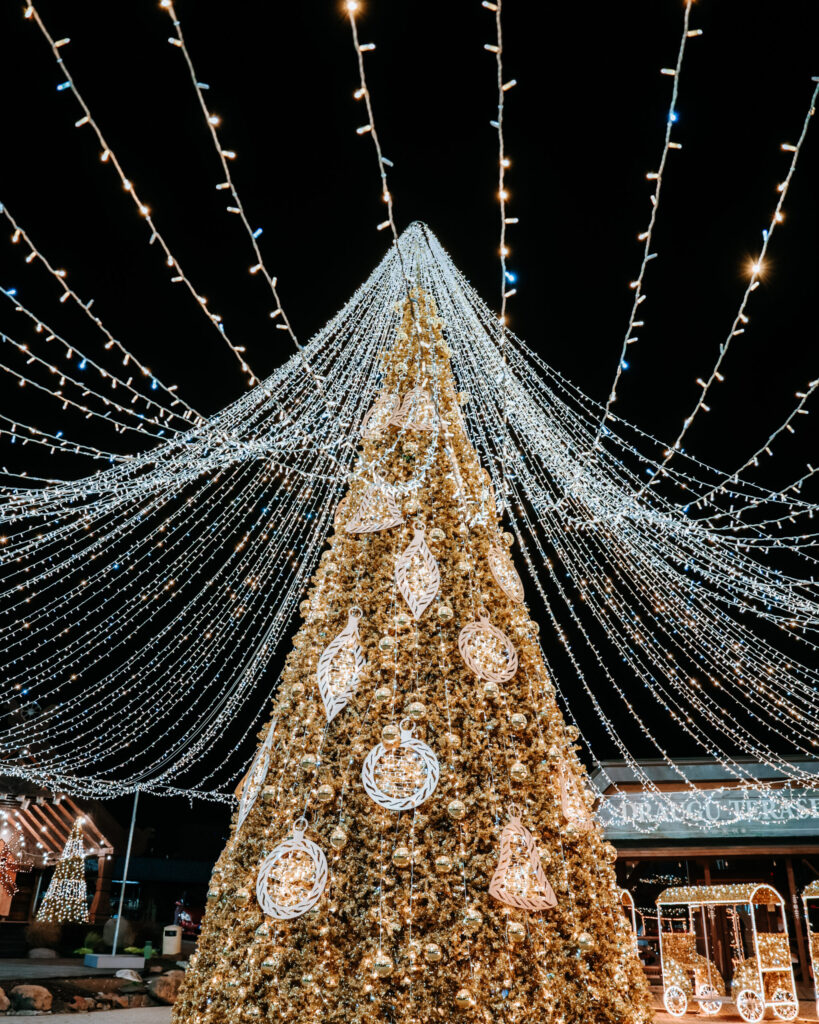 Autors: Publicitātes foto