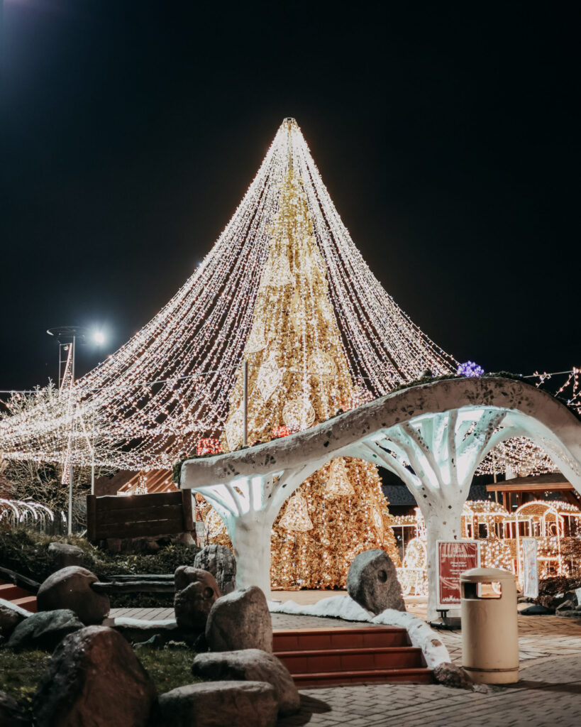 Autors: Publicitātes foto