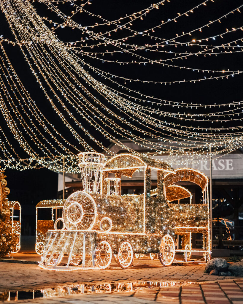 Autors: Publicitātes foto