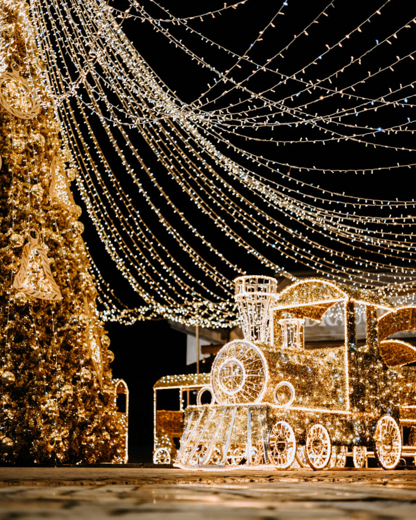 Autors: Publicitātes foto