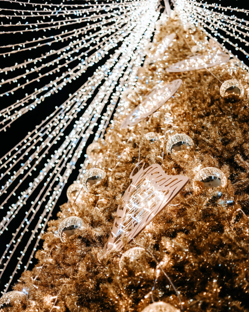 Autors: Publicitātes foto