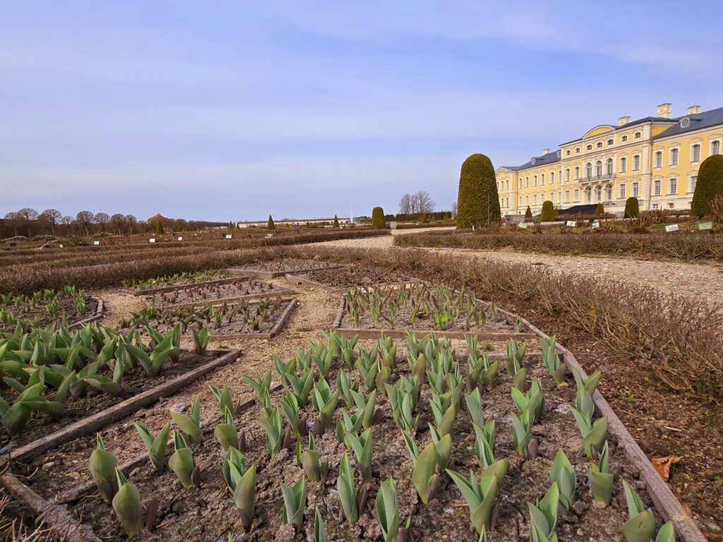 Autors: www.bauskasdzive.lv