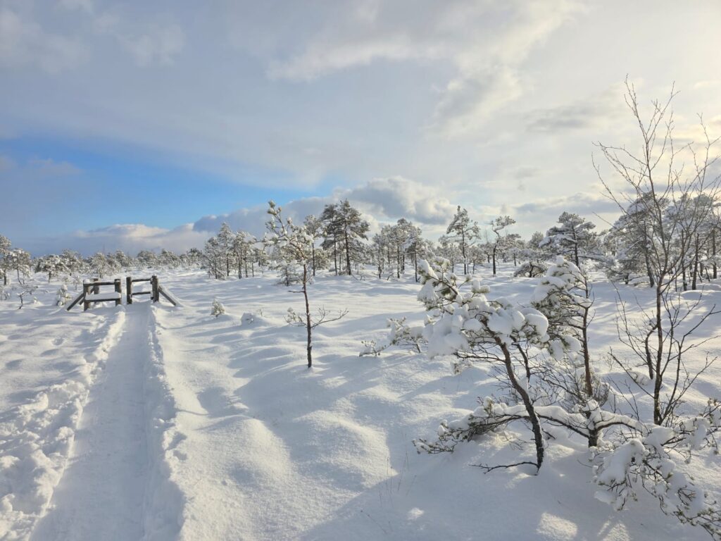 Autors: www.bauskasdzive.lv