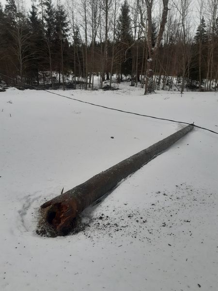 Autors: Publicitātes foto.